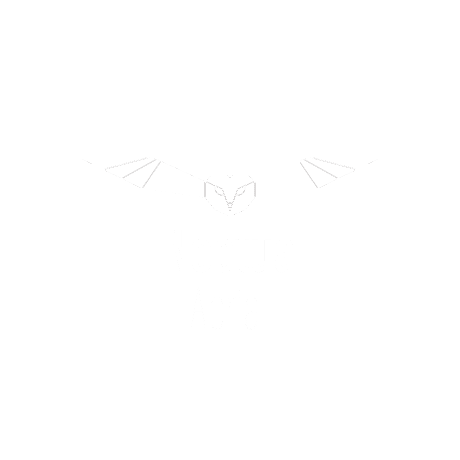 Noctua Aerial Working With The Environmental Sector In The UK To 